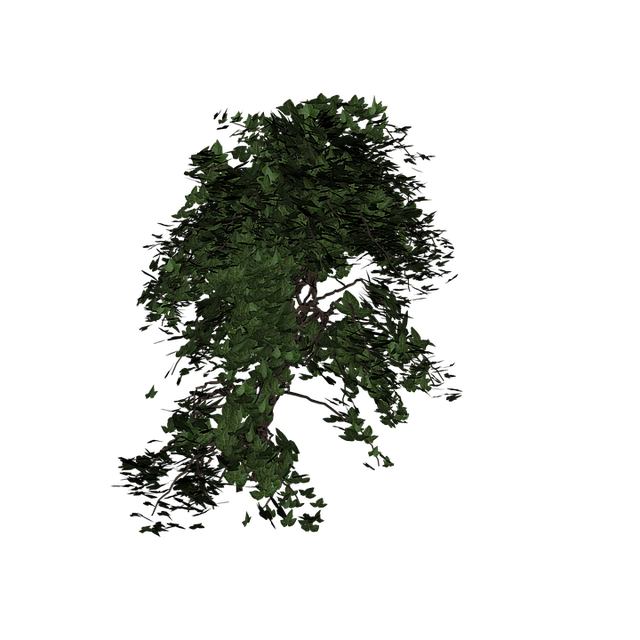 pianta decorativa 01