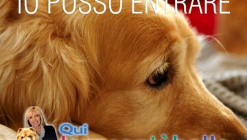 regolamenti condominiali la legge che riguarda la permanenza degli animali in appartamento 17 1