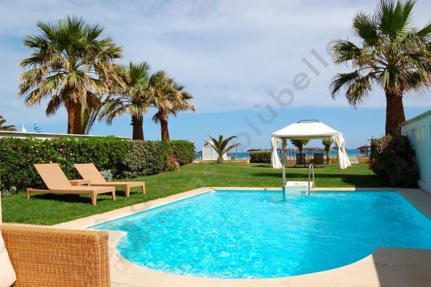 cadice 216 6