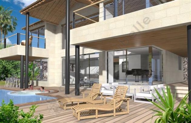 canarie 223 2