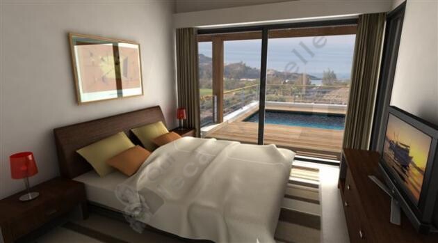 canarie 223 6