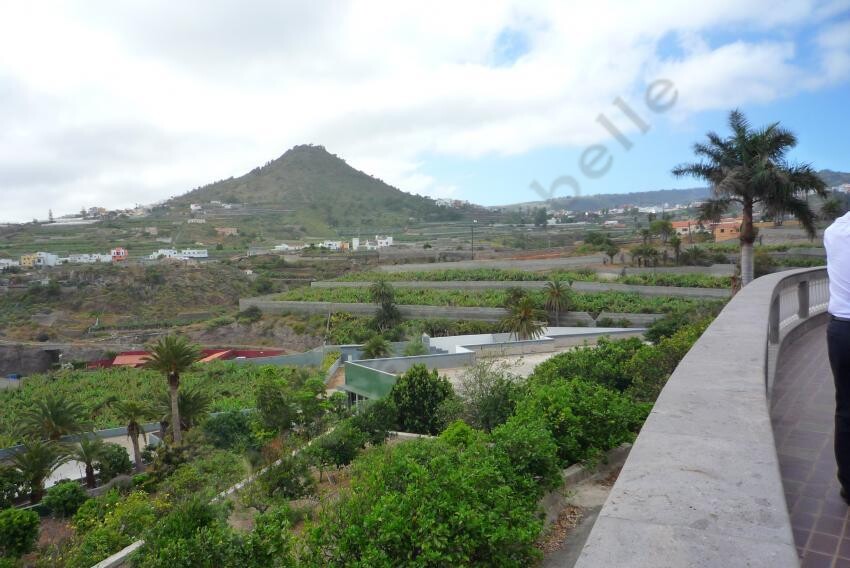 villa canarie aruca las palmas 213 1