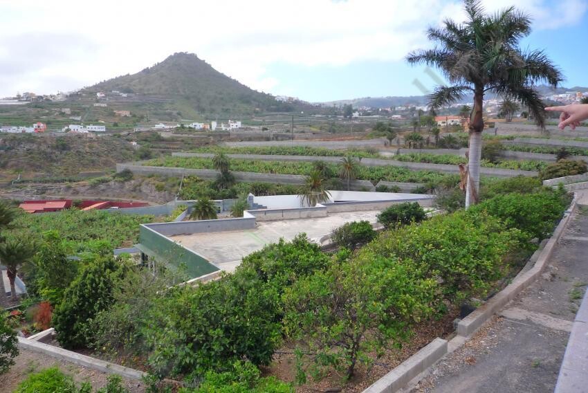 villa canarie aruca las palmas 213 2