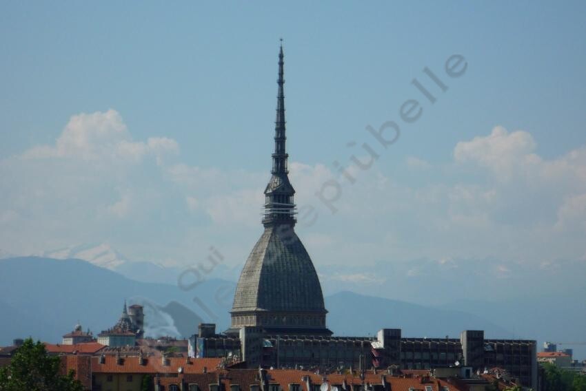 appartamento piemonte torino torino gran madre 56 1