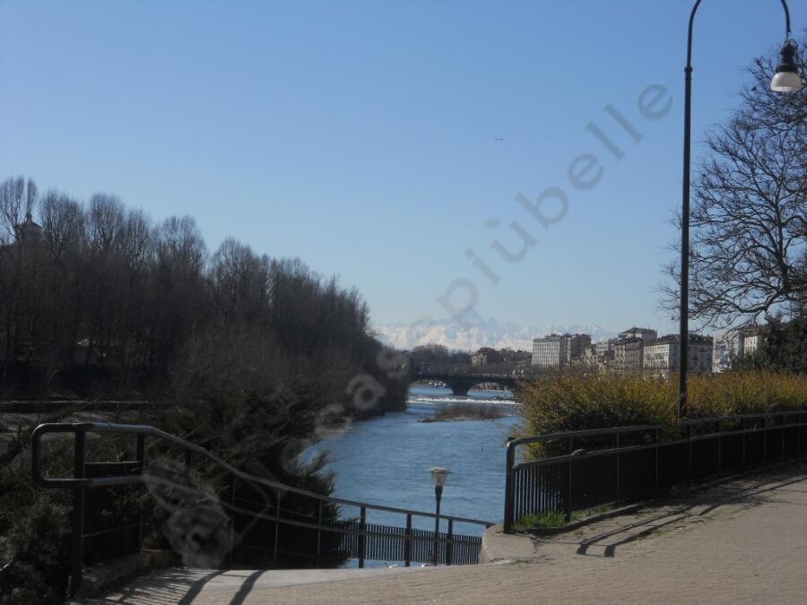 appartamento piemonte torino torino vanchiglia 372 6