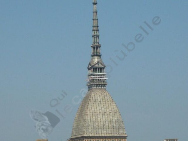 appartamento piemonte torino torino vanchiglia artisti pressi 385 1 appartamento piemonte torino torino vanchiglia artisti pressi 385 1