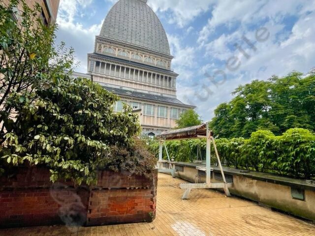 ampio-alloggio-con-terrazzo-vista-mole-antonelliana01 ampio-alloggio-con-terrazzo-vista-mole-antonelliana01