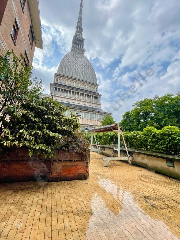 ampio-alloggio-con-terrazzo-vista-mole-antonelliana01