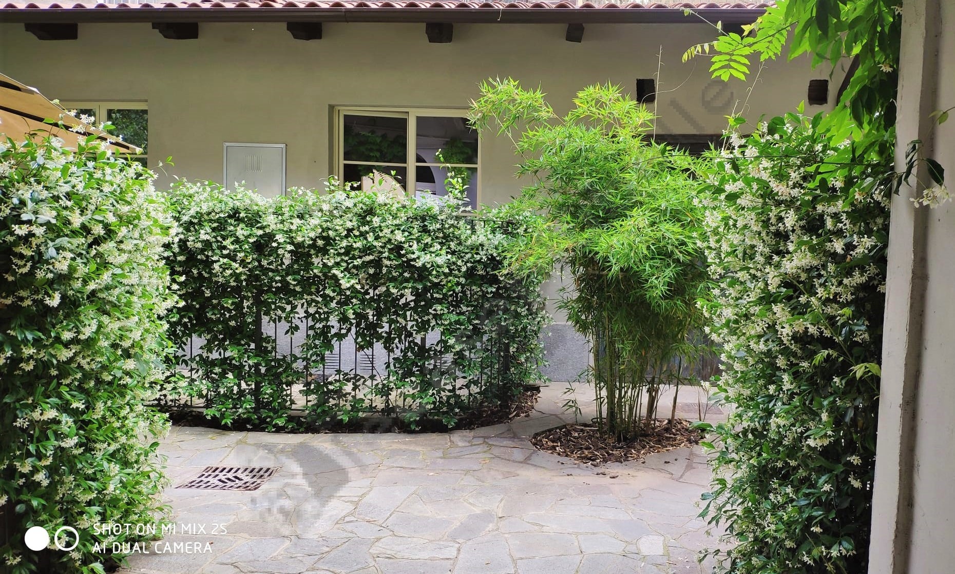 piazza_statuto_bilocale (2)